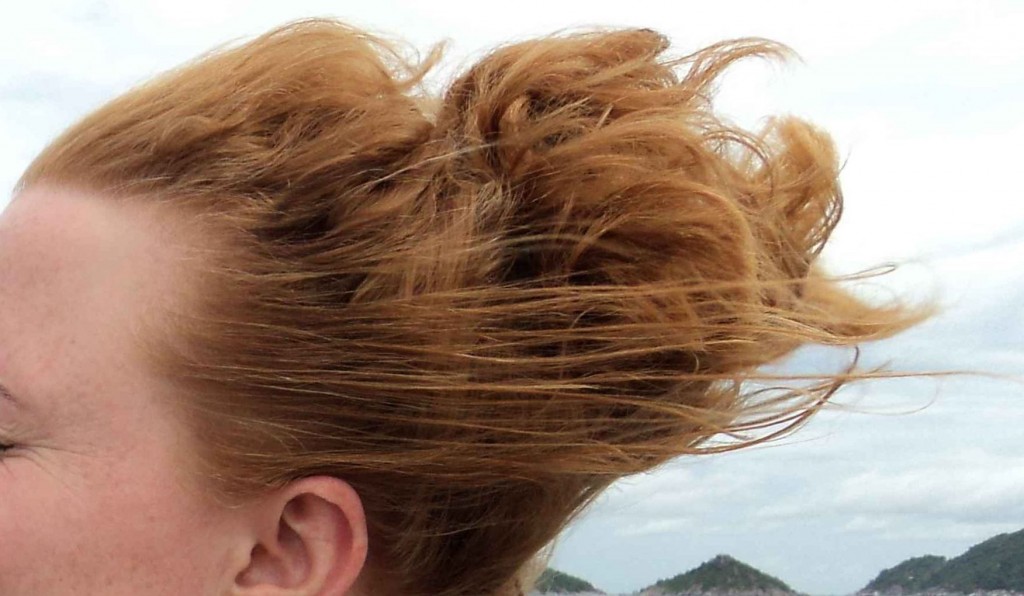 Wind – Wind-in-den-Haaren.de